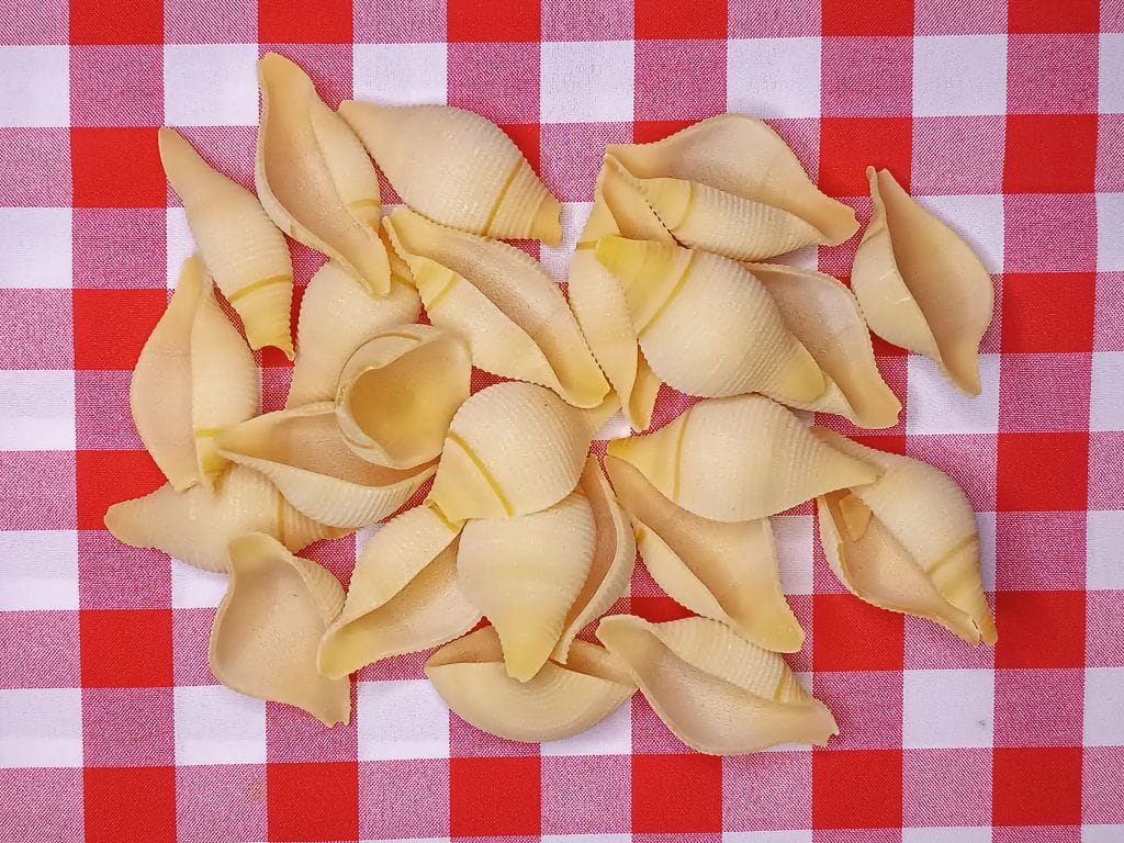 makaron conchiglioni